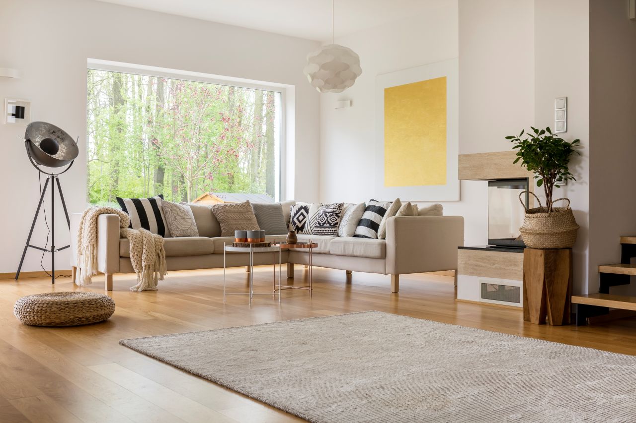Living room interior